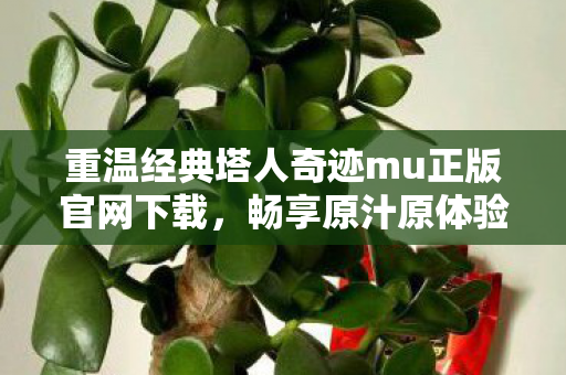 重温经典塔人奇迹mu正版官网下载,畅享原汁原体验! 重温经典塔人奇迹mu正版官网下载,畅享原汁原体验!