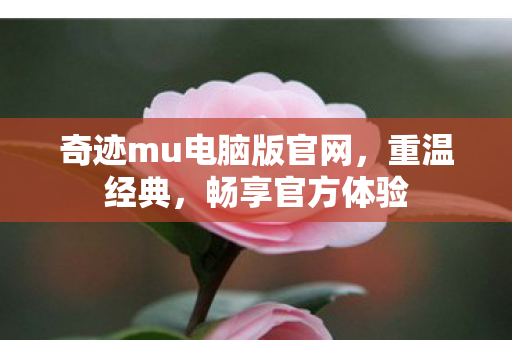 奇迹mu电脑版官网图片