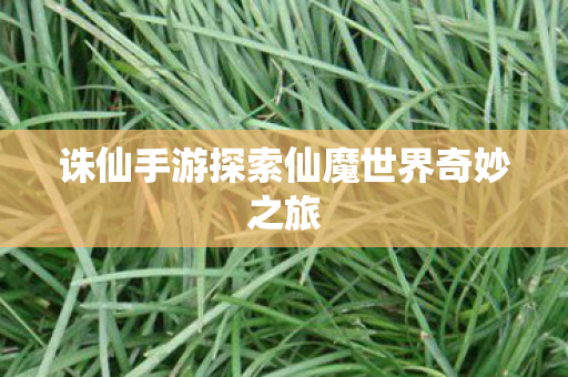 诛仙手游探索仙魔世界奇妙之旅图片