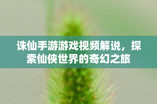 探索仙侠世界的奇幻之旅图片