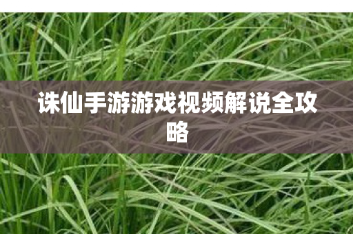 诛仙手游游戏视频解说全攻略图片