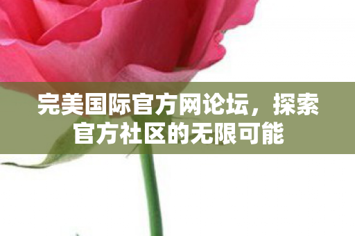 探索官方社区的无限可能图片