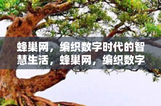 蜂巢网,编织数字时代的智慧生活,蜂巢网,编织数字时代的智慧生活 蜂巢网,编织数字时代的智慧生活,蜂巢网,编织数字时代的智慧生活