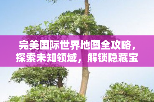 完美国际世界地图全攻略，探索未知领域，解锁隐藏宝藏！