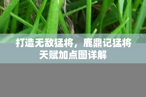 鹿鼎记猛将天赋加点图详解图片