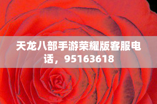 天龙八部手游荣耀版客服电话图片