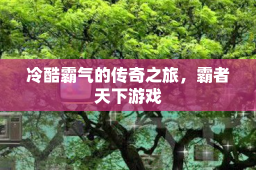 冷酷霸气的传奇之旅图片