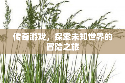 探索未知世界的冒险之旅图片