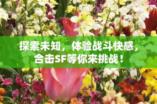 合击SF等你来挑战图片