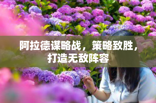 阿拉德谋略战图片