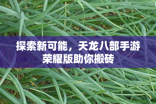 天龙八部手游荣耀版助你搬砖图片