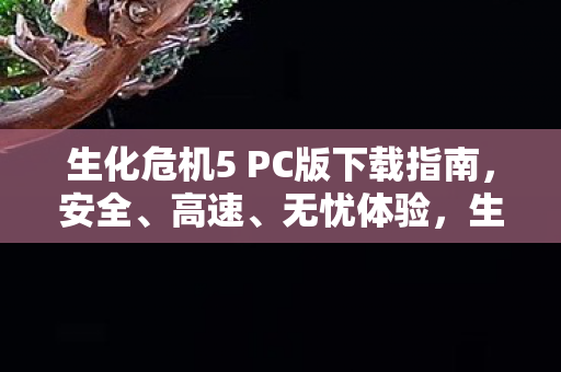 生化危机5 PC版下载指南,安全、高速、无忧体验,生化危机5 PC版安全高速下载指南 生化危机5 PC版下载指南,安全、高速、无忧体验,生化危机5 PC版安全高速下载指南