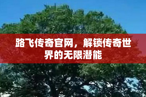 路飞传奇官网，解锁传奇世界的无限潜能