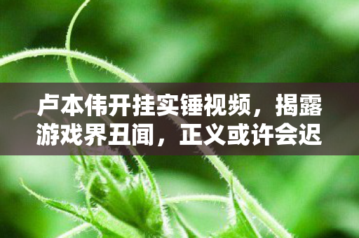 卢本伟开挂实锤视频图片