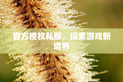 探索游戏新境界图片