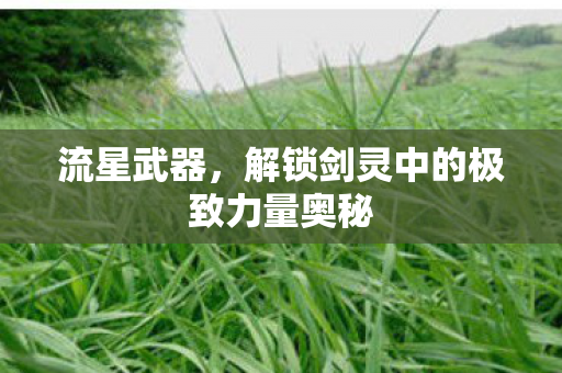 解锁剑灵中的极致力量奥秘图片