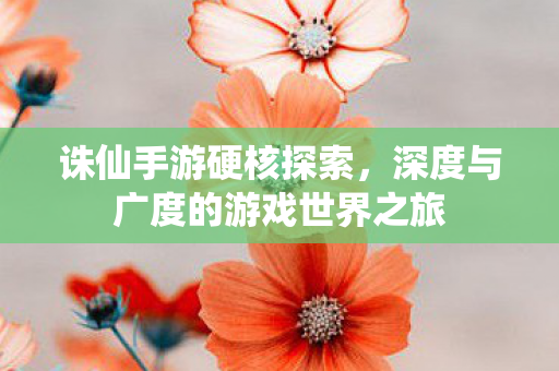 深度与广度的游戏世界之旅图片