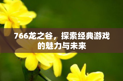探索经典游戏的魅力与未来图片