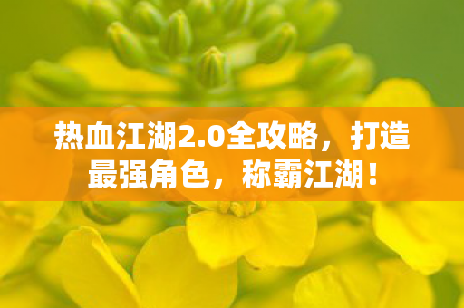 打造最强角色图片