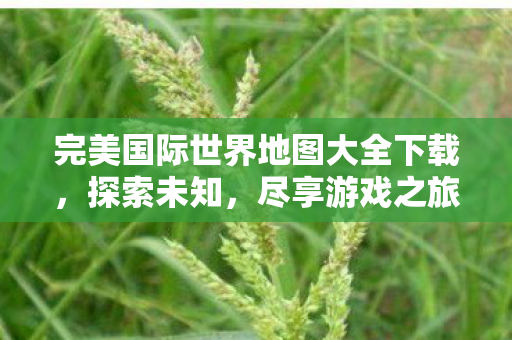 完美国际世界地图大全下载图片