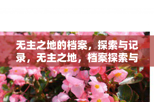 无主之地的档案,探索与记录,无主之地,档案探索与记录 无主之地的档案,探索与记录,无主之地,档案探索与记录
