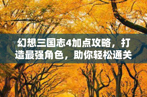 幻想三国志4加点攻略图片