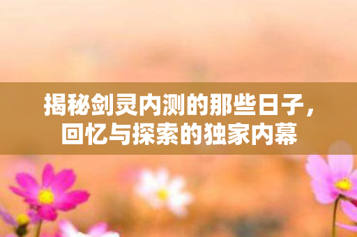 揭秘剑灵内测的那些日子图片
