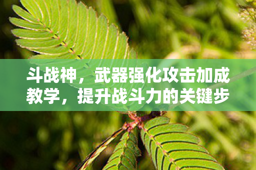 武器强化攻击加成教学图片