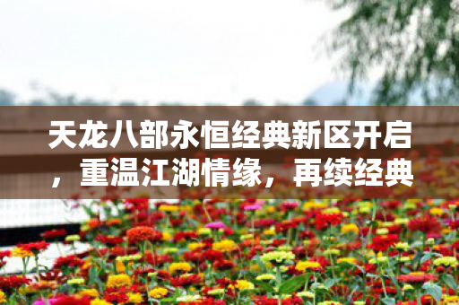 天龙八部永恒经典新区开启图片