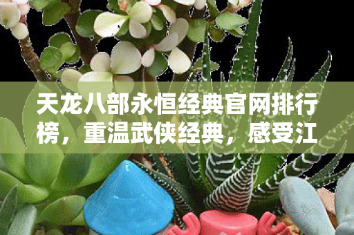 天龙八部永恒经典官网排行榜图片