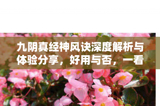 九阴真经神风诀深度解析与体验分享图片