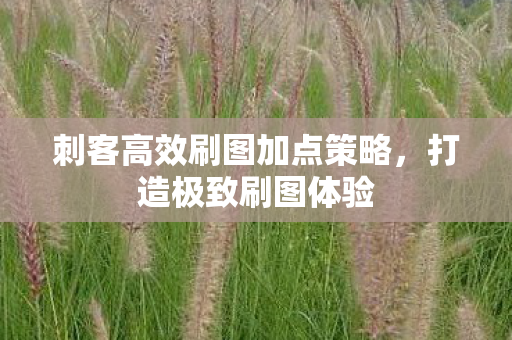 刺客高效刷图加点策略图片