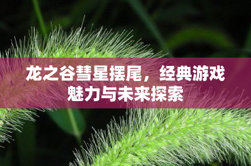 经典游戏魅力与未来探索图片