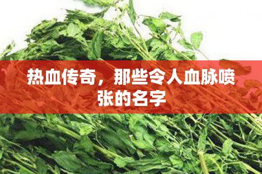 热血传奇,那些令人血脉喷张的名字 热血传奇,那些令人血脉喷张的名字