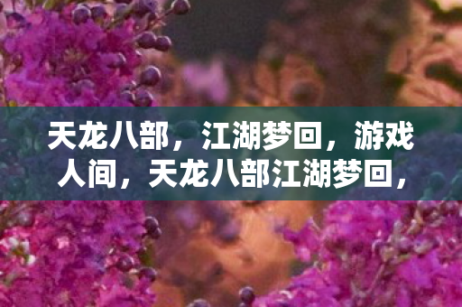 天龙八部江湖梦回图片