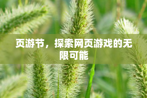 探索网页游戏的无限可能图片