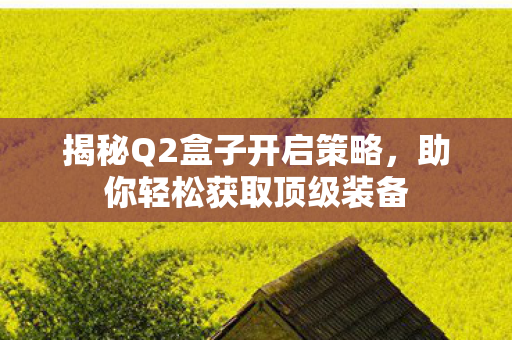 揭秘Q2盒子开启策略图片