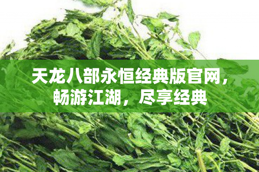 天龙八部永恒经典版官网图片