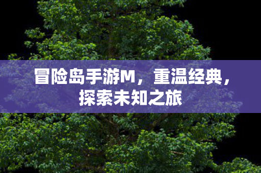 冒险岛手游M图片