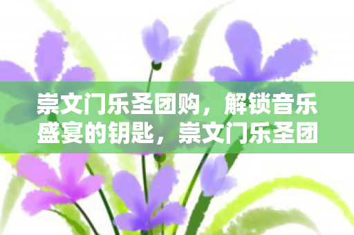 解锁音乐盛宴的钥匙图片