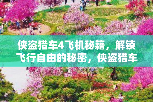 侠盗猎车4飞机秘籍图片