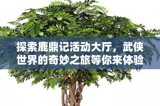 武侠世界的奇妙之旅等你来体验图片