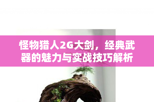 经典武器的魅力与实战技巧解析图片