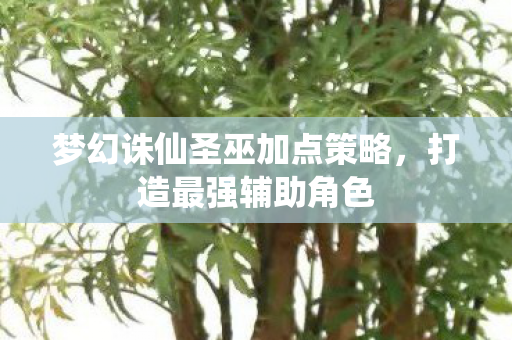 梦幻诛仙圣巫加点策略图片