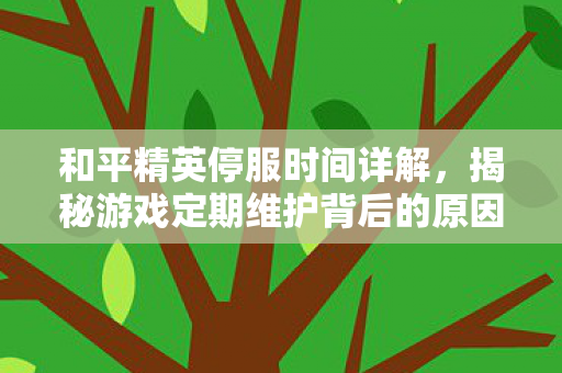 和平精英停服时间详解，揭秘游戏定期维护背后的原因