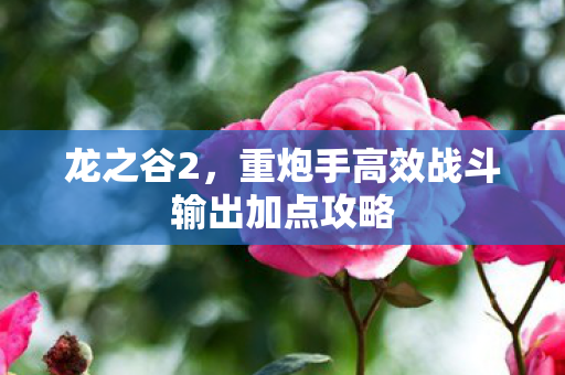 重炮手高效战斗输出加点攻略图片