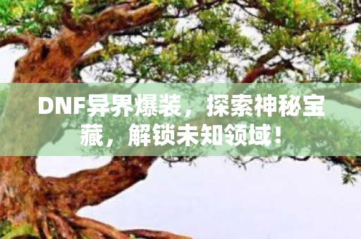 DNF异界爆装图片