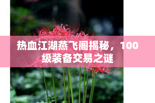 100级装备交易之谜图片