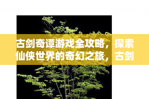 探索仙侠世界的奇幻之旅图片