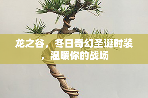 冬日奇幻圣诞时装图片